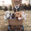 Cozy Dinkum Plush, Lion Pip - Plush - 9