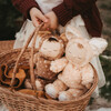 Cozy Dinkum Plush, Fawny Twinkle - Plush - 9