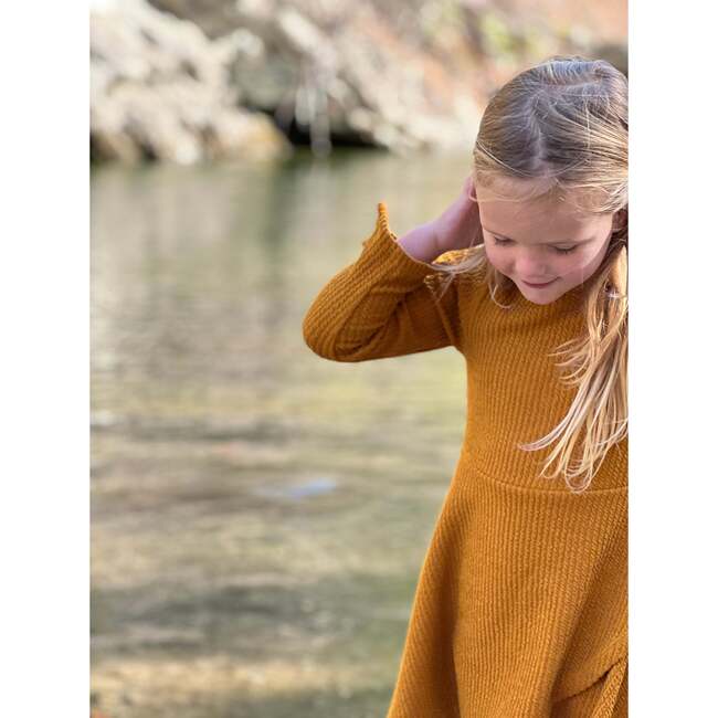 Shiloh Long Sleeve Dress, Pumpkin - Dresses - 3