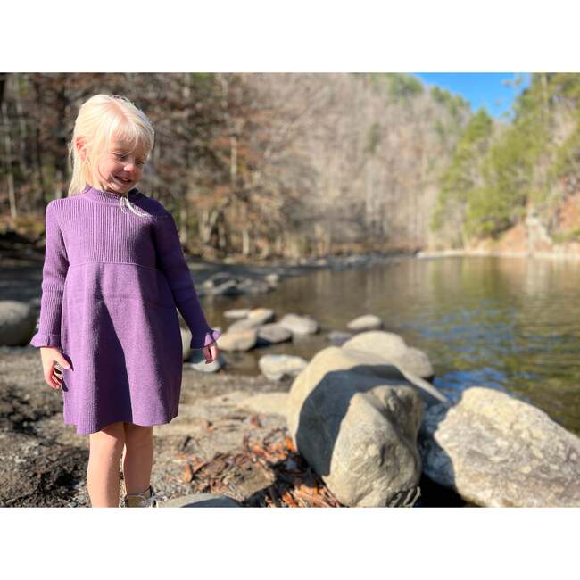 Sonya Long Sleeve Dress, Purple - Dresses - 2