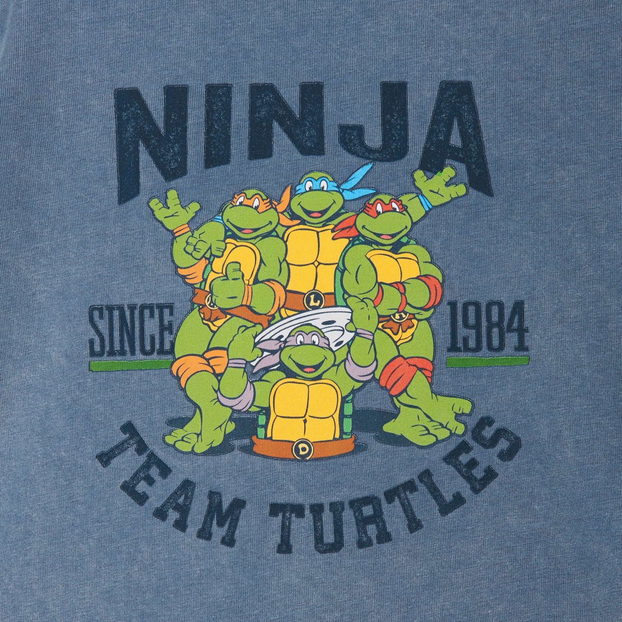 Girl's Teenage Mutant Ninja Turtles Distressed Raphael In Action T