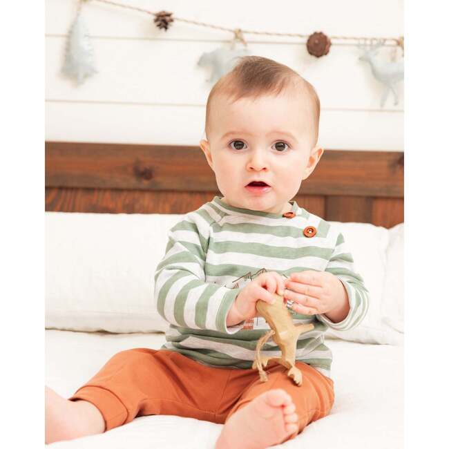Striped Sly Little Fox Print Top & Pants Set, Sage Green & Mocha - Mixed Apparel Set - 2