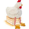 Clucky the Chicken - Plush - 1 - thumbnail