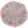 Women's Emily Beret, Melon - Hats - 2