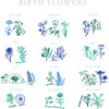 Birth Flowers Two Piece Pajamas, Multi - Pajamas - 4