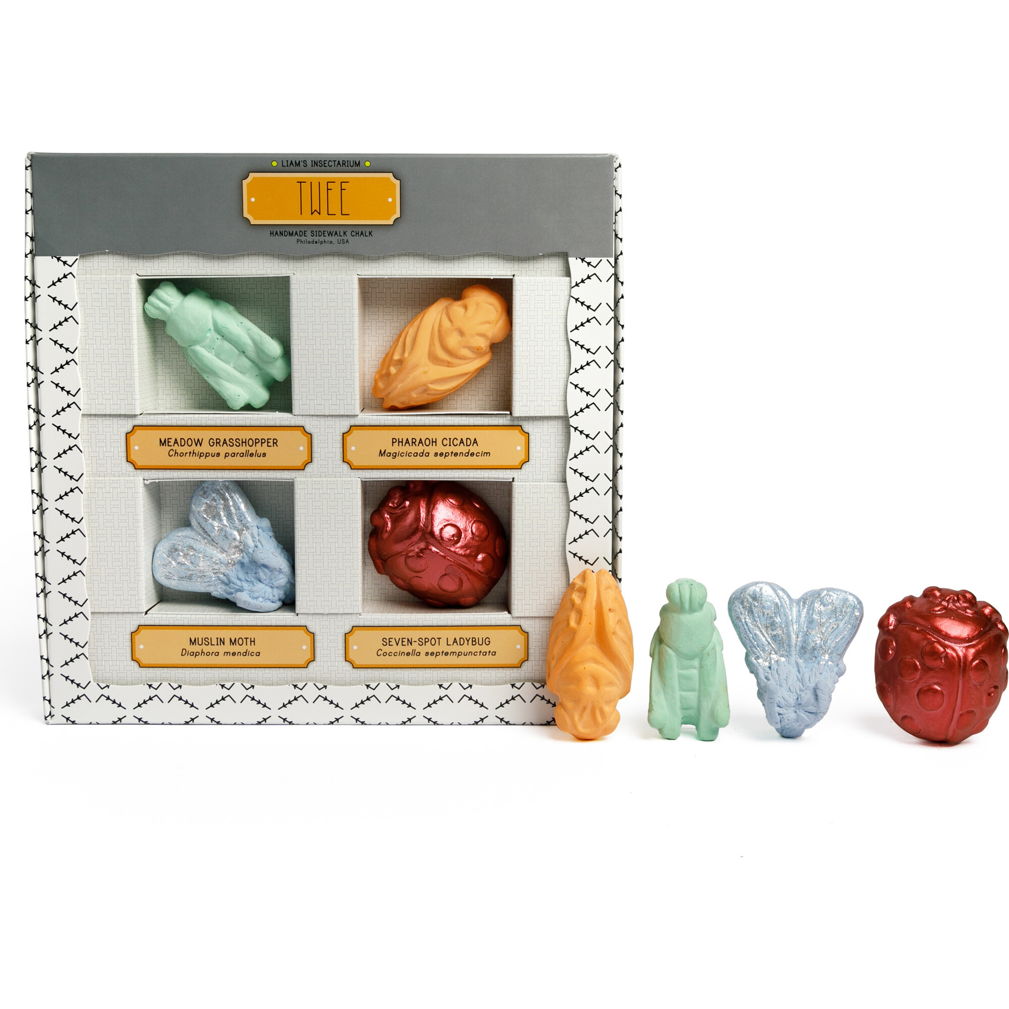 TWEE Liam's Insectarium Handmade  Chalk - Bubbles/Chalk - 1