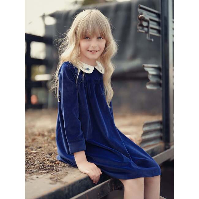 Peter Pan Collar Velvet Butter Dress, Navy - Dresses - 3