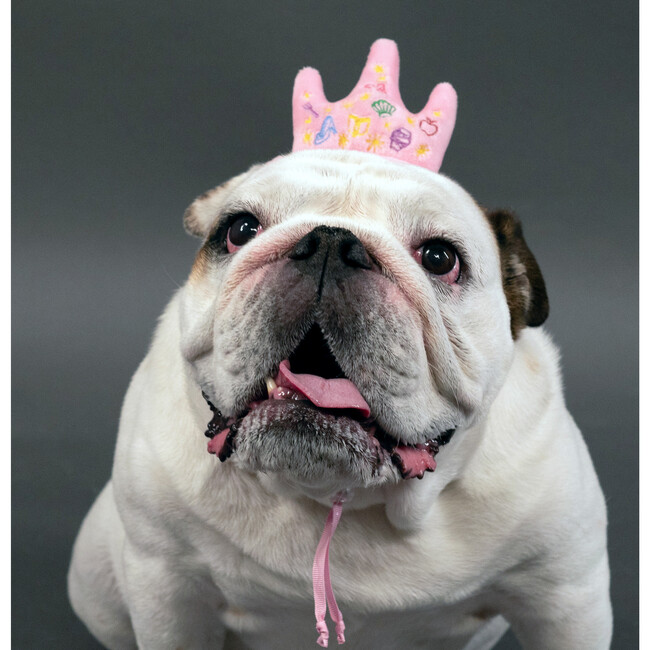 Disney Princess Crown Head Accessory - Pet Costumes - 2