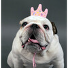 Disney Princess Crown Head Accessory - Pet Costumes - 2