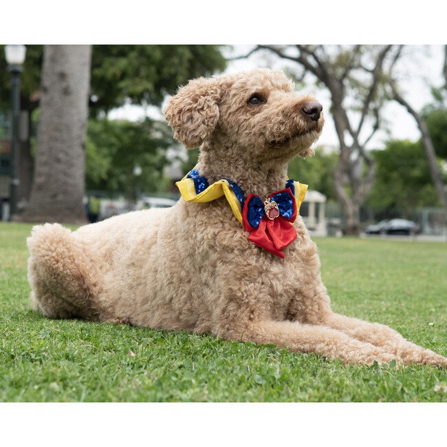 Disney Snow White Collar - Pet Costumes - 2