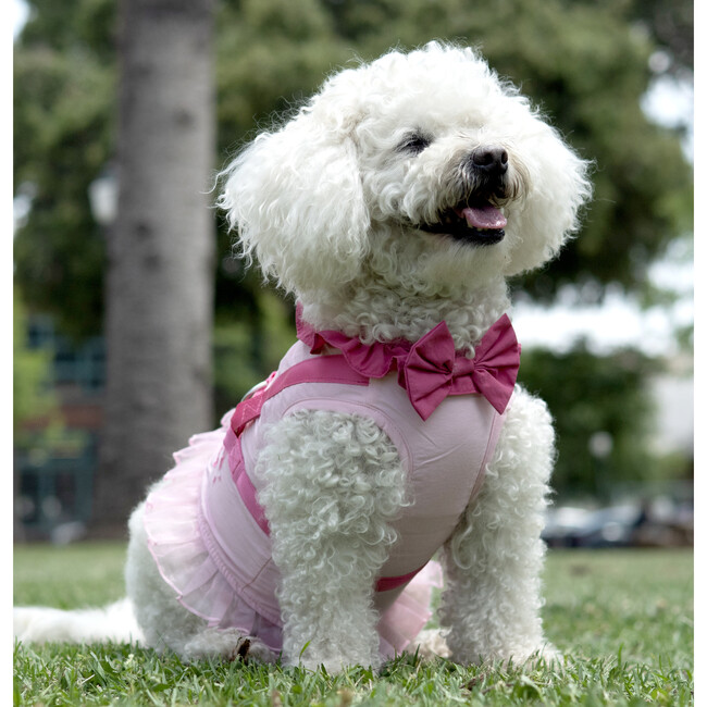 Disney Multi-Princess Harness - Pet Costumes - 2