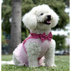 Disney Multi-Princess Harness - Pet Costumes - 2