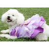 Disney Rapunzel Dress - Pet Costumes - 2
