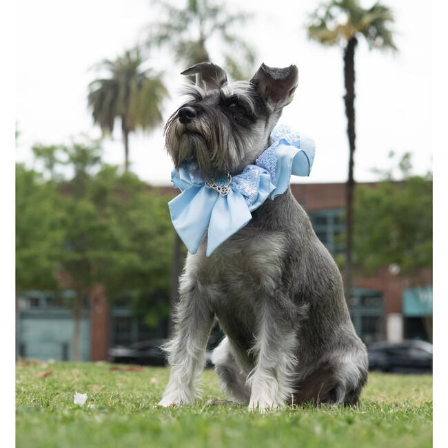 Disney Cinderella Collar - Pet Costumes - 2