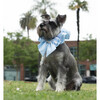 Disney Cinderella Collar - Pet Costumes - 2