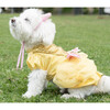 Disney Belle Dress - Pet Costumes - 2