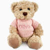 Personalized Bertie Bear, Pink - Plush - 1 - thumbnail