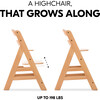 Alpha+ Grow Along Adjustable Beechwood Wooden High Chair Seat + 5-Point Harness & Bumper Bar, Natual Beechwood Finish - Highchairs - 3