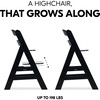 Alpha+ Grow Along Adjustable Beechwood Wooden High Chair Seat + 5-Point Harness & Bumper Bar, Black - Highchairs - 4