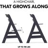 Alpha+ Grow Along Adjustable Beechwood Wooden High Chair Seat + 5-Point Harness & Bumper Bar, Dark Grey - Highchairs - 8