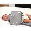 Swaddle 1.0 TOG, Chilly Goose - Swaddles - 2