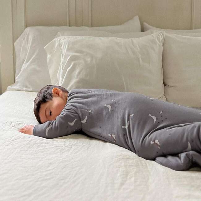 Sleep Bag Long Sleeve Premium Duvet 2.6 TOG, Chilly Goose - Sleep Sacks - 2