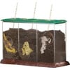 Now You See It, Now You Don't™ See-Through Compost Container - Classroom Resources - 1 - thumbnail