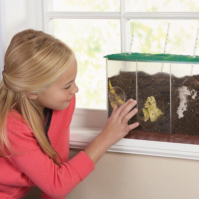 Now You See It, Now You Don't™ See-Through Compost Container - Classroom Resources - 2