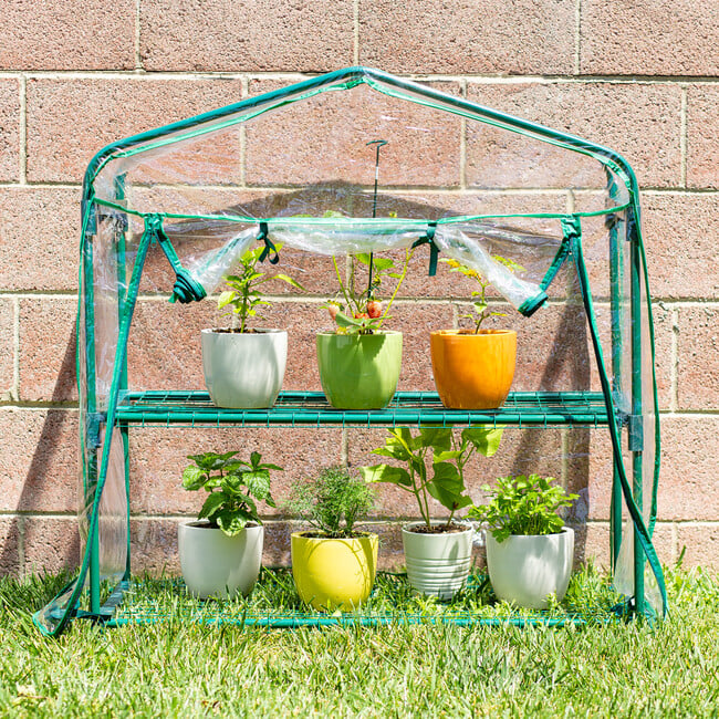 GreenThumb Classroom Greenhouse - Classroom Resources - 3