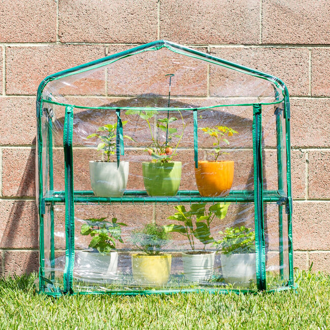 GreenThumb Classroom Greenhouse - Classroom Resources - 5