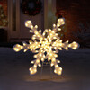 Outdoor Twinkling LED Snowflake - Accents - 2