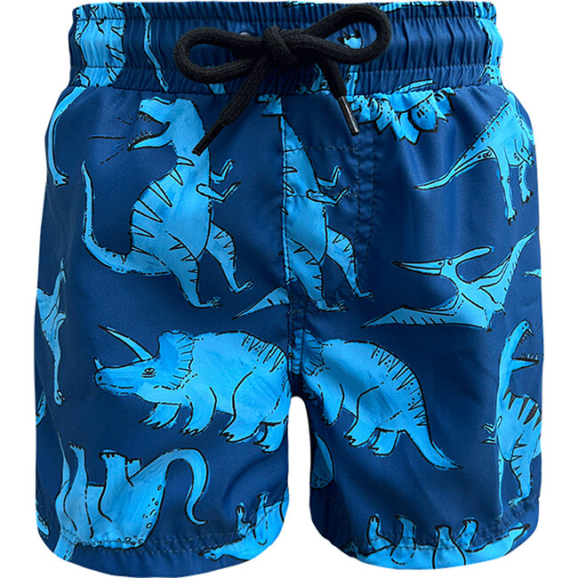 Dino Print Drawstring Swim Shorts, Blue