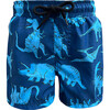Dino Print Drawstring Swim Shorts, Blue - Swim Trunks - 1 - thumbnail