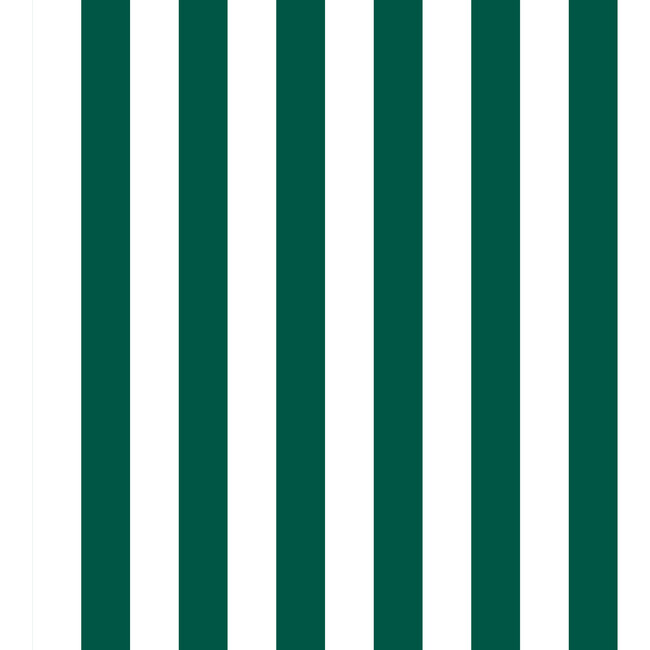 Decorative Canopy Stripe Pillow, Emerald - Decorative Pillows - 4