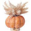 Pampas Grass Pumpkin Centerpiece, Orange - Planters - 1 - thumbnail