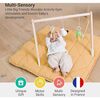 Wooden Activity Gym - Farm - Activity Gyms - 2