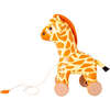 Pull Along Friends - Gina the Giraffe - Push & Pull - 1 - thumbnail