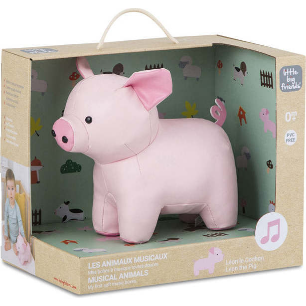 Leon the Pig - Developmental Toys - 3