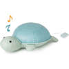 Emilie the Turtle - Developmental Toys - 1 - thumbnail