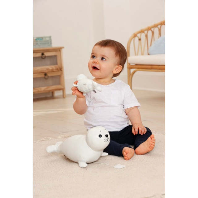 Elliot the Seal - Developmental Toys - 2