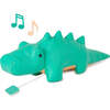 Achille the Crocodile - Developmental Toys - 1 - thumbnail