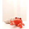 Brigitte the Hermit Crab - Developmental Toys - 3