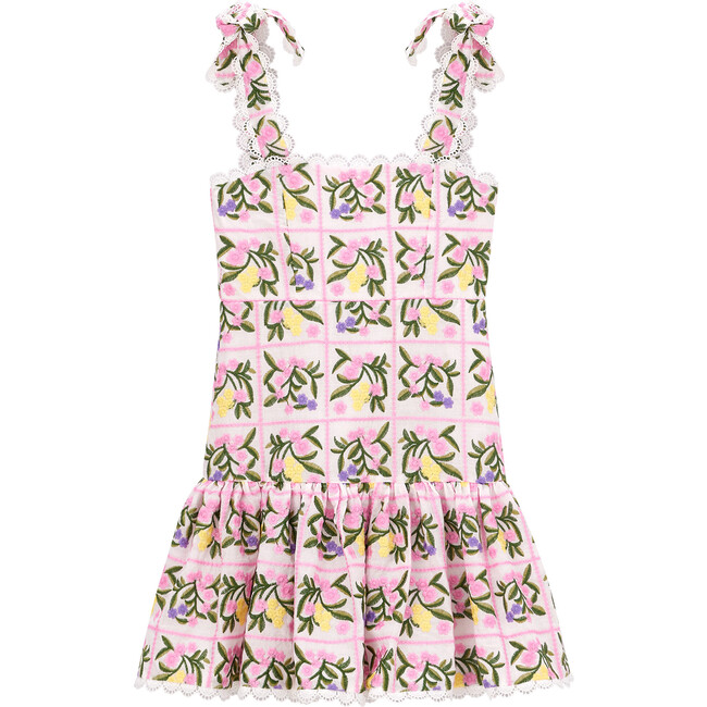 Millie Embroidered Mini Dress, Multi