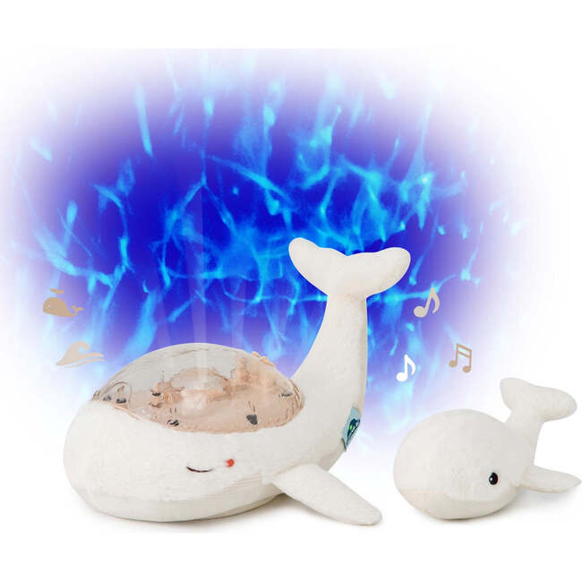 Cloud b  Tranquil Whale Family White