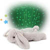 Cloud b  Dream Buddies®  Benny Bunny - Tech Toys - 1 - thumbnail