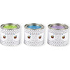 Veggie Paint Set - Winter Set of 3 - Arts & Crafts - 3