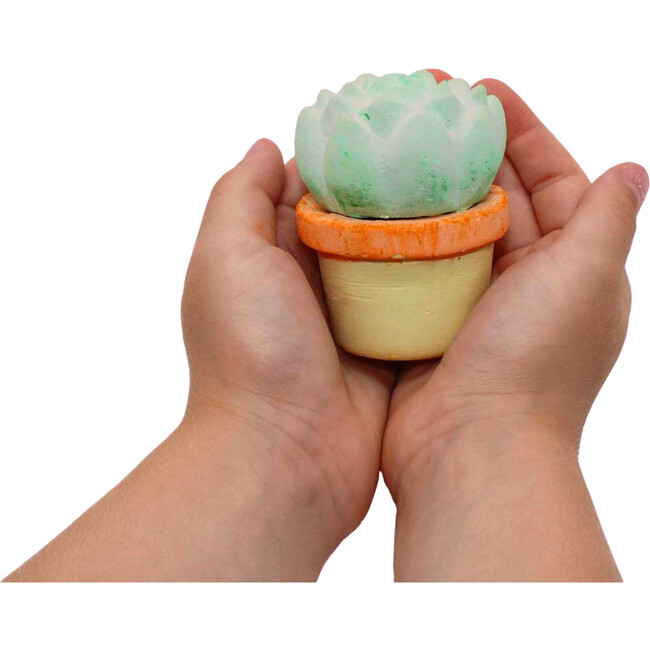 Maya & Siona's Succulents Handmade  Chalk - Bubbles/Chalk - 3