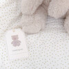 Oatmeal Bear Plush Toy, Multicolors - Plush - 6