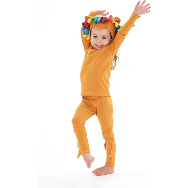 Rainbow Lion Costume Hat and Tail