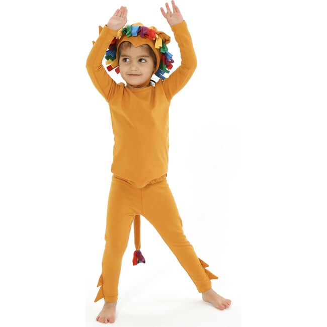 Rainbow Lion Costume Hat and Tail - Costume Accessories - 5